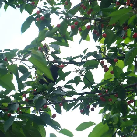 Casa Do - بيت ضيافة جيريز