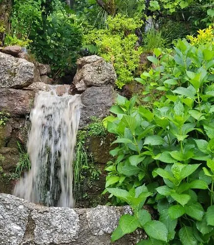 게스트하우스 Casa Do - 3*